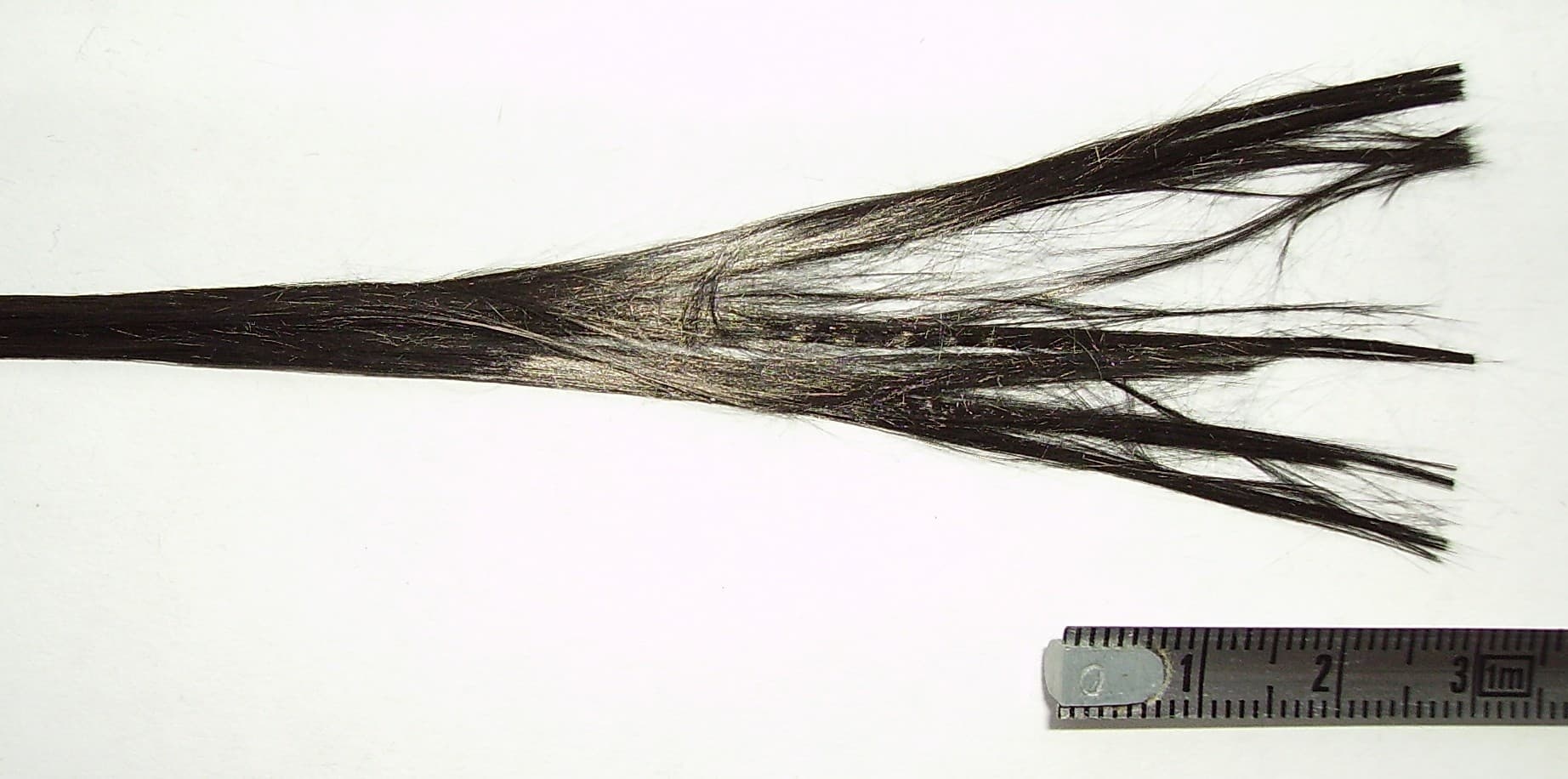 Karbon fiber detay